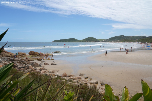 Praia do Rosa em SC: guia completo com dicas
