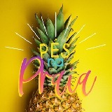 pesnapraia pesnapraia